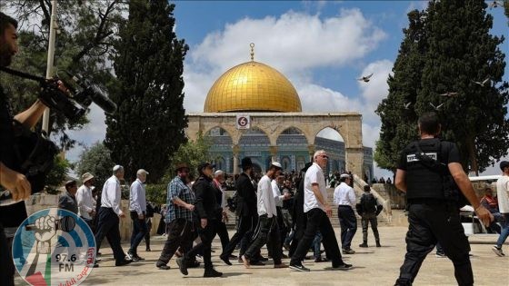 مئات المستعمرين يقتحمون الأقصى والاحتلال يشدد إجراءاته العسكرية في محيطه