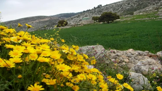 الطقس: أجواء ربيعية وانخفاض ملموس على درجات الحرارة
