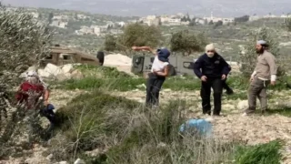 الاحتلال يعتقل مواطنا ومستعمرين يعتدون على ممتلكات المواطنين في مسافر يطا