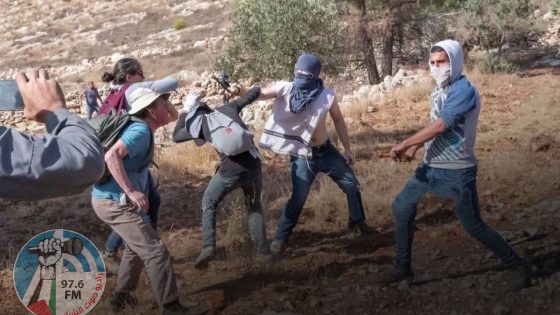 مستعمرون يعتدون على ممتلكات مواطنين في الأغوار ويسرقون عشرات رؤوس الماشية