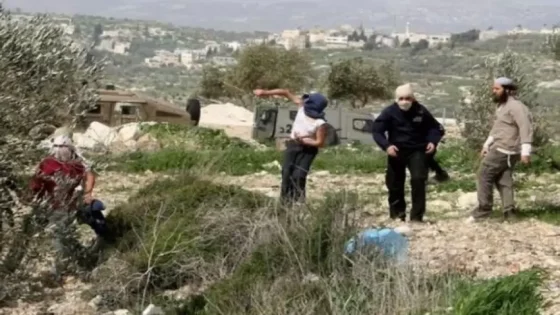الاحتلال يعتقل مواطنا ومستعمرين يعتدون على ممتلكات المواطنين في مسافر يطا