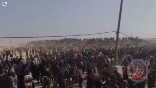 حكومي غزة: اسرائيل فشلت بمشروع توزيع المساعدات