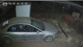 مستوطنون يعتدون على ممتلكات مواطنين في الأغوار ويسرقون الاغنام
