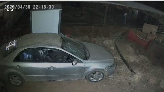 مستوطنون يعتدون على ممتلكات مواطنين في الأغوار ويسرقون الاغنام