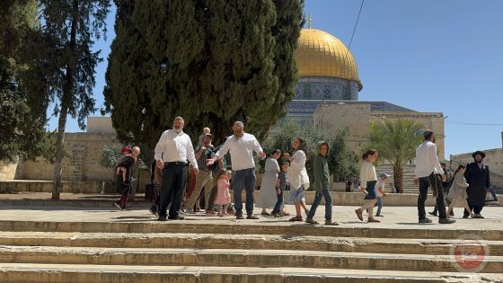 الأردن يدين اقتحامات المتطرفين للمسجد الأقصى