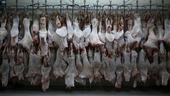 تراجع الطلب ومقاطعة جزئية… سعر كيلو الخروف الحي يصل إلى 40 شيقلا في بعض المحافظات