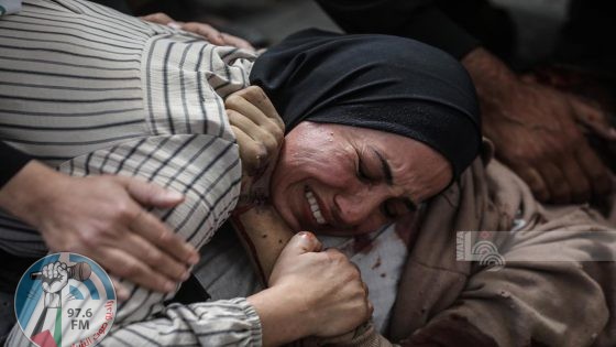 7 شهداء في قصف إسرائيلي على رفح وبيت لاهيا