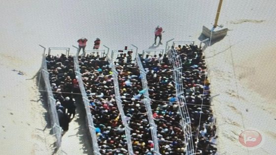 بدء الآلية الجديدة…الاف الغزيين يتوجهون إلى مراكز التوزيع في رفح