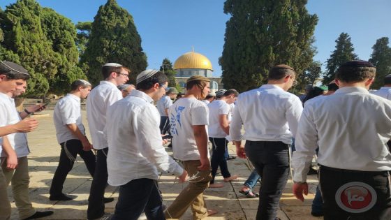 شاهد- انتهاكات خطيرة واقتحامات واسعة للأقصى في ذكرى احتلال القدس