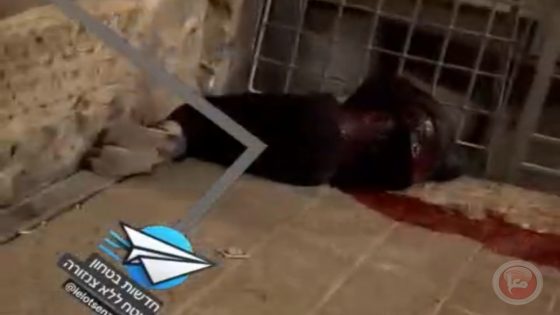 استشهاد المنفذ-إصابة شرطي إسرائيلي بعملية طعن على ابواب الاقصى