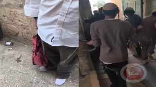 سابقة خطيرة- مستوطن يُدخل ماعزا إلى الأقصى وينبطح أرضا (فيديو)