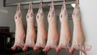فلتان الأسواق: لحوم بالعلالي وتجار يتحكمون بالاسعار بانتظار اجتماع حاسم غدا