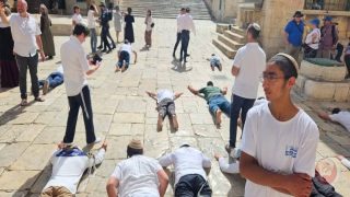 بذكرى احتلاله.. المستوطنون يحولون الأقصى لمسرح غنائي واستعراض سياسي