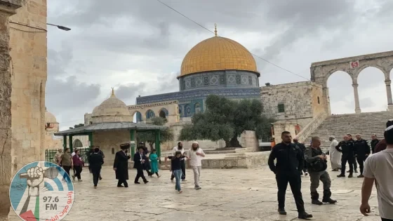 594 مستعمرا يقتحمون المسجد الأقصى