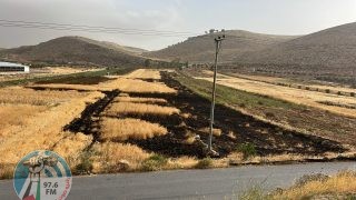 مستعمرون يحرقون أراضي شرق رام الله