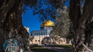 حالة الطقس: أجواء حارة إلى شديدة الحرارة