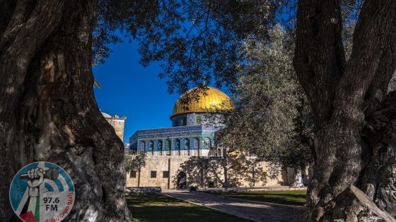 حالة الطقس: أجواء حارة إلى شديدة الحرارة