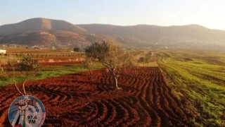 الطقس: أجواء حارة والحرارة أعلى من معدلها العام بقليل