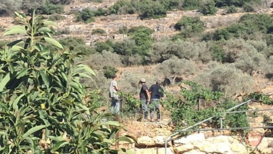 مستوطنون يعتدون على أرض زراعية في منطقة “المطوي” شمال غرب سلفيت