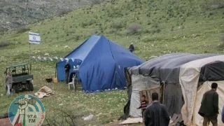 مستعمرون يرعون ماشيتهم بين خيام المواطنين في الأغوار الشمالية
