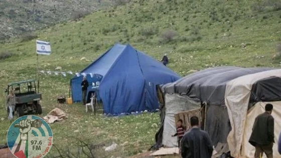 مستعمرون يرعون ماشيتهم بين خيام المواطنين في الأغوار الشمالية