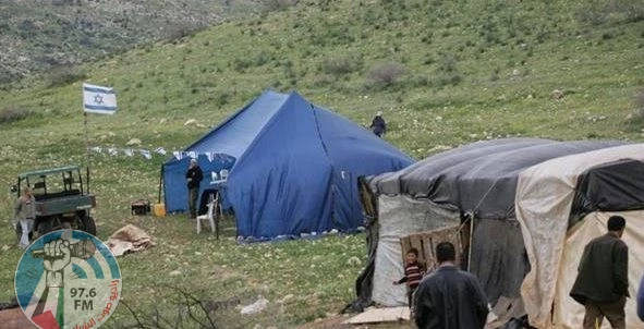مستعمرون يرعون ماشيتهم بين خيام المواطنين في الأغوار الشمالية