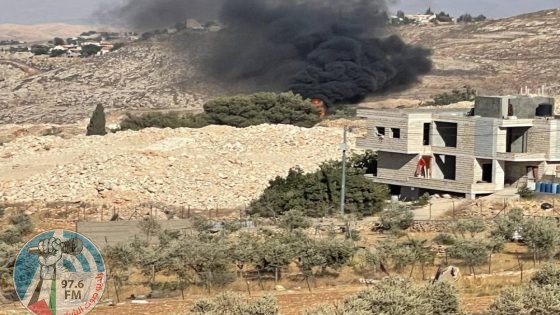 إصابة 3 مواطنين برصاص مستعمرين وإحراق كوخ زراعي في حزما شمال شرق القدس