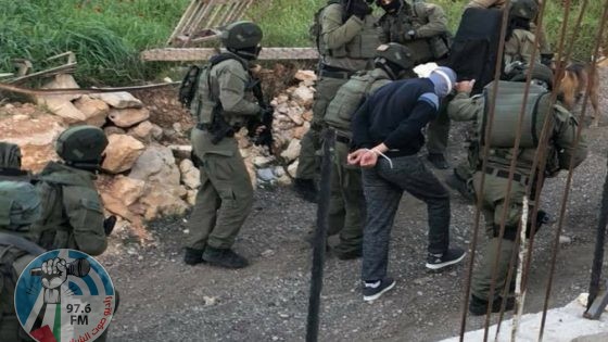 الاحتلال يعتقل 16 مواطنا معظمهم من المزرعة الغربية في رام الله