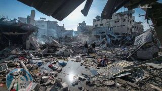 500 شخصية رومانية توقع رسالة تطالب بوقف الإبادة في غزة