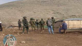 مستعمرون يرعون مواشيهم بين خيام المواطنين في الأغوار الشمالية