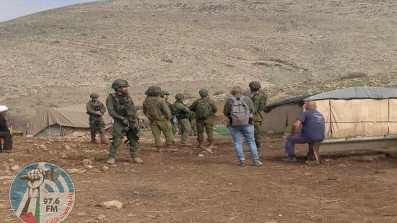 مستعمرون يرعون مواشيهم بين خيام المواطنين في الأغوار الشمالية