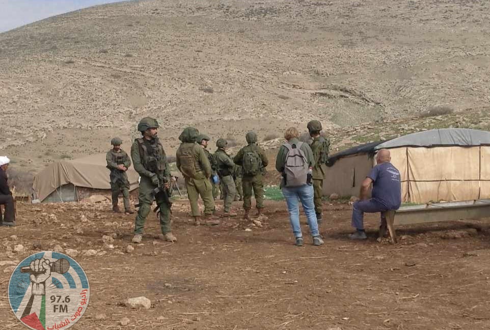 مستعمرون يرعون مواشيهم بين خيام المواطنين في الأغوار الشمالية