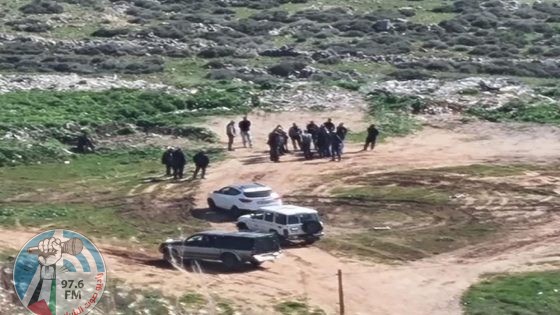 مستعمرون يعتدون على مواطن من المغير شمال شرق رام الله