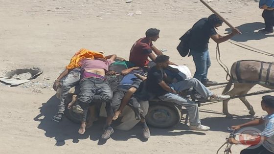 صحة غزة: 89 شهيدا خلال 24 ساعة