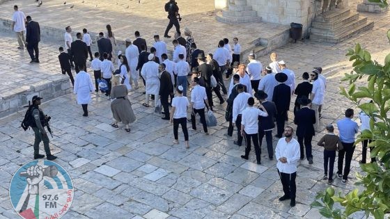 مفتي مصر يدين اقتحام المستوطنين لباحات المسجد الأقصى