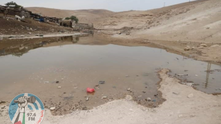 مستعمرون يغرقون أراضي المواطنين بالمياه العادمة ويحاولون سرقة مواشي بمسافر يطا