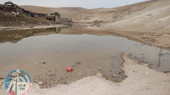 مستعمرون يغرقون أراضي المواطنين بالمياه العادمة ويحاولون سرقة مواشي بمسافر يطا