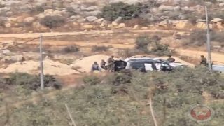 مستوطنون يهاجمون المواطنين ويقطعون أشجار زيتون في سلفيت