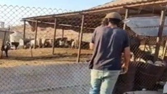 شاهد- مستوطنون يقتحمون تجمع شلال العوجا شمال أريحا