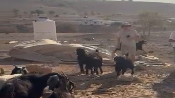 شاهد- مستوطنون يقتحمون تجمع شلال العوجا