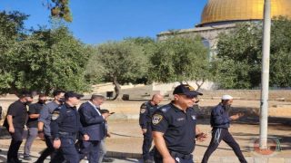على رأسهم بن غفير- مئات المستوطنين يقتحمون باحات المسجد الأقصى (فيديو)