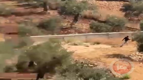 مستوطنون يهاجمون مركبات المواطنين في ترمسعيا