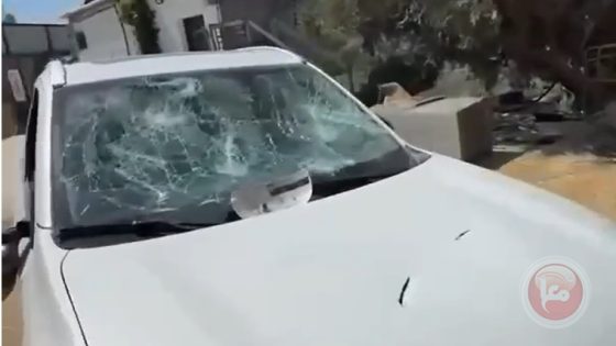 مستوطنون يعتدون على رئيس بلدية بيتا جنوب نابلس