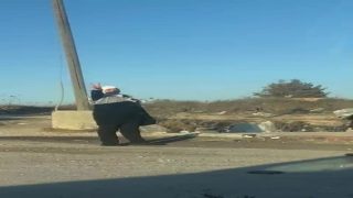 قوات الاحتلال تحتجز محافظ رام الله عند حاجز عطارة