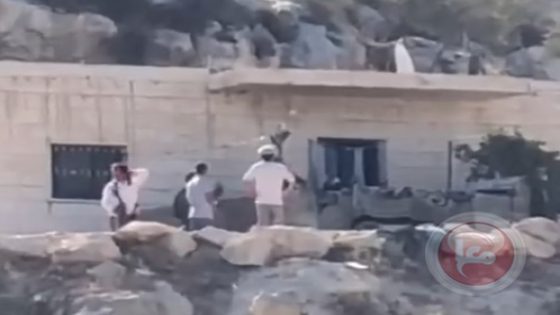 الاحتلال يعتقل شابا خلال محاولته منع مستوطنين سرقة اغنام والده