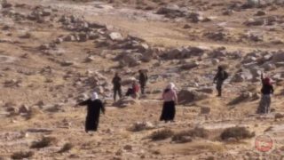 مستوطنون يهاجمون منازل المواطنين في كيسان شرق بيت لحم