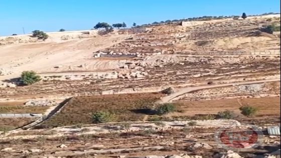 الخليل.. اعتداءات المستوطنين متواصلة والاحتلال يواصل تجريف الأراضي