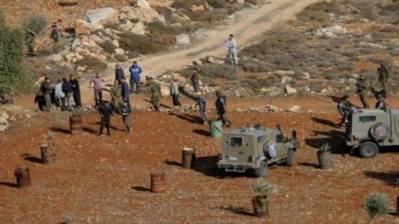 مقاومة الجدار: 259 اعتداء ضد قاطفي الزيتون منذ انطلاق الموسم