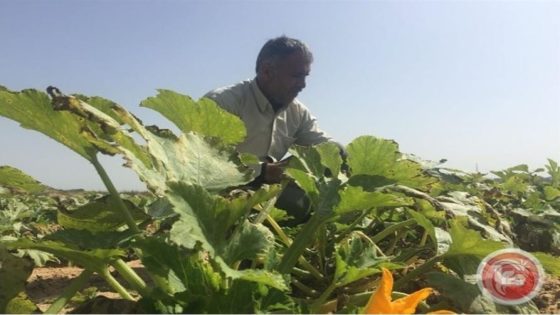 وزير الزراعة يكشف خطط دعم المزارعين في ظل موازنة أقل من 1%