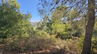 الطقس: أجواء غائمة جزئيا وانخفاض آخر على الحرارة